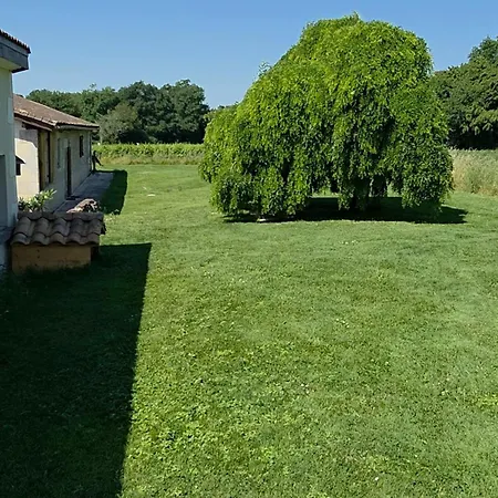 Family Villa *